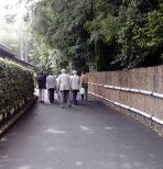 薩摩焼庭後ろ姿