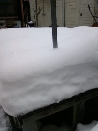 雪の28センチ